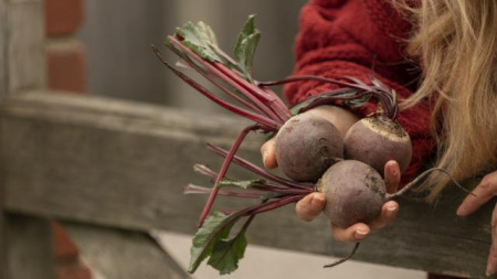 борщевой набор