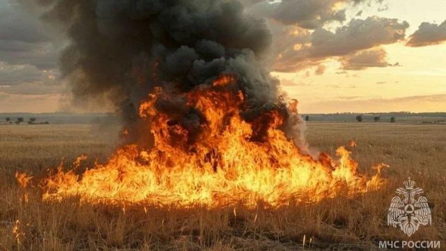 В Ивановской области зарегистрированы первые в 2025 году возгорания сухой травы