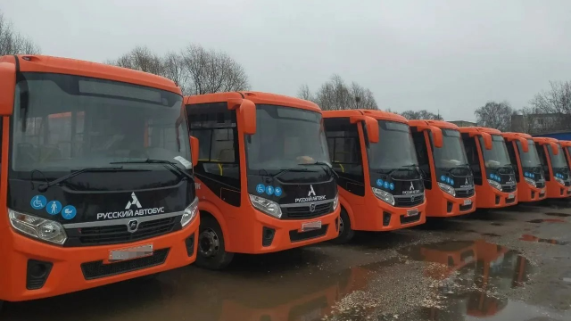 Автобусы