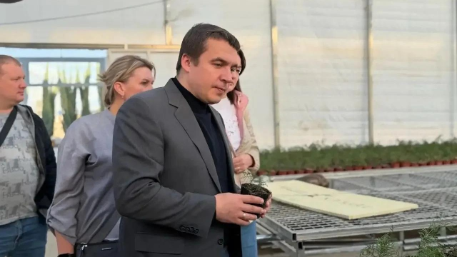 Саженцы