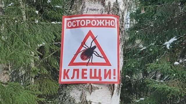 предупреждение о клещах