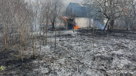 6 садовых домиков сгорели в Арзамасе из-за пала травы
