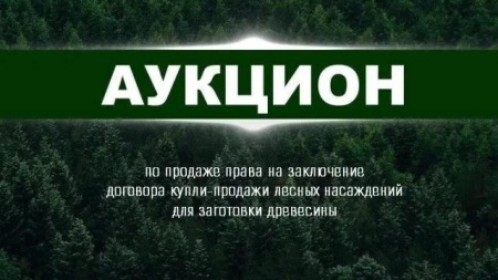 аукцион в Мордовии