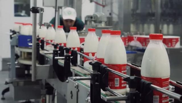 производство молока