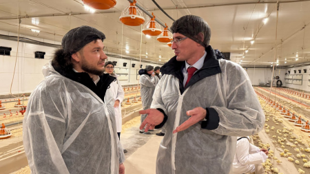 18 новых птичников за 2,3 млрд руб. открыли в Вачском районе 