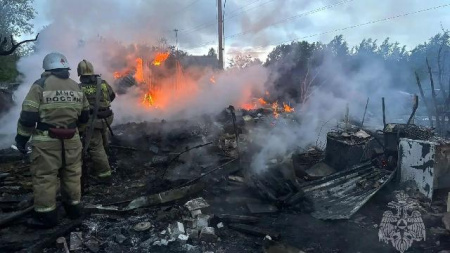 пожар в Городецком округе