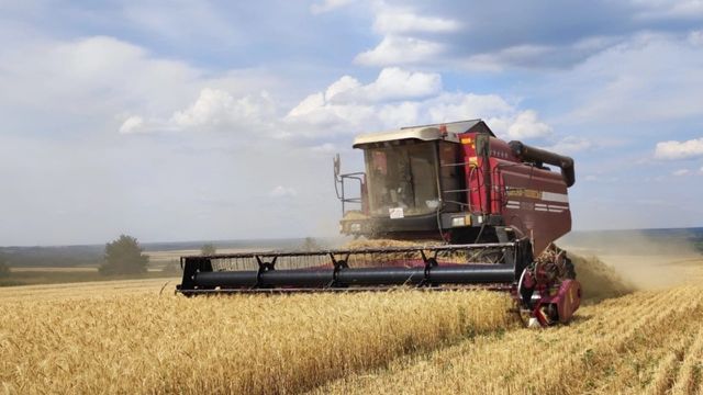 Сбор урожая