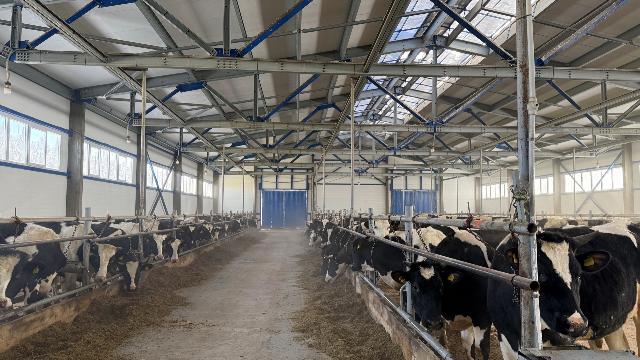 СПК «Панинское»