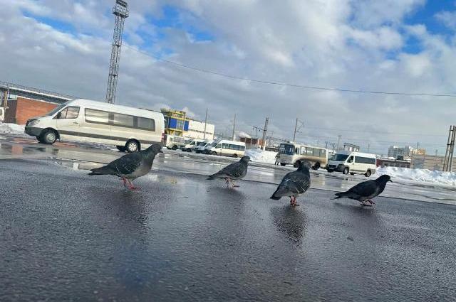 Стоянка автобусов