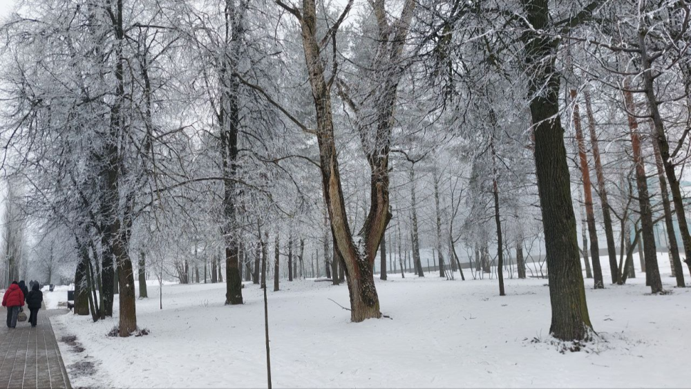 Водителей предупреждают о гололёде в Нижегородской области