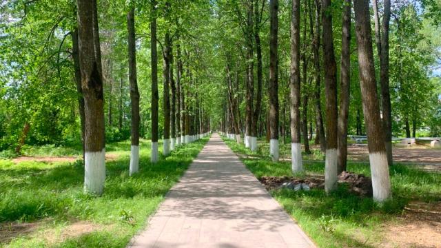 Городской парк