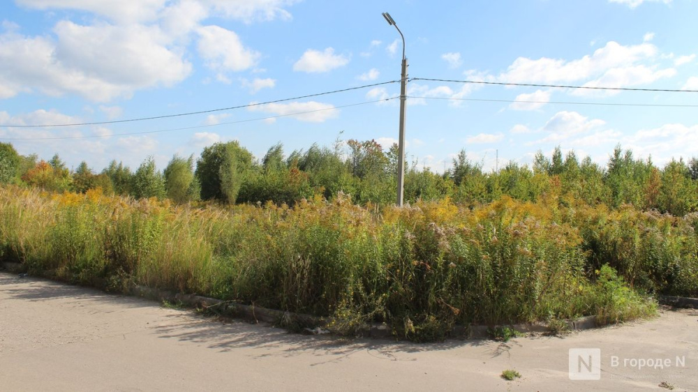 В Новинках показали участок под будущий склад Wildberries