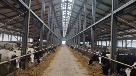 ООО «Дивеевское»