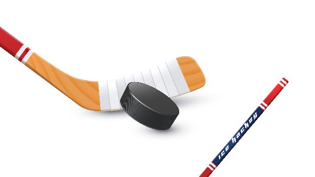 клюшка и шайба