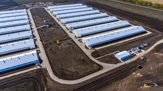 ГК «Дамате» 