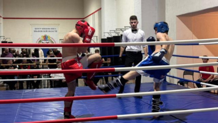 турнир по кикбоксингу