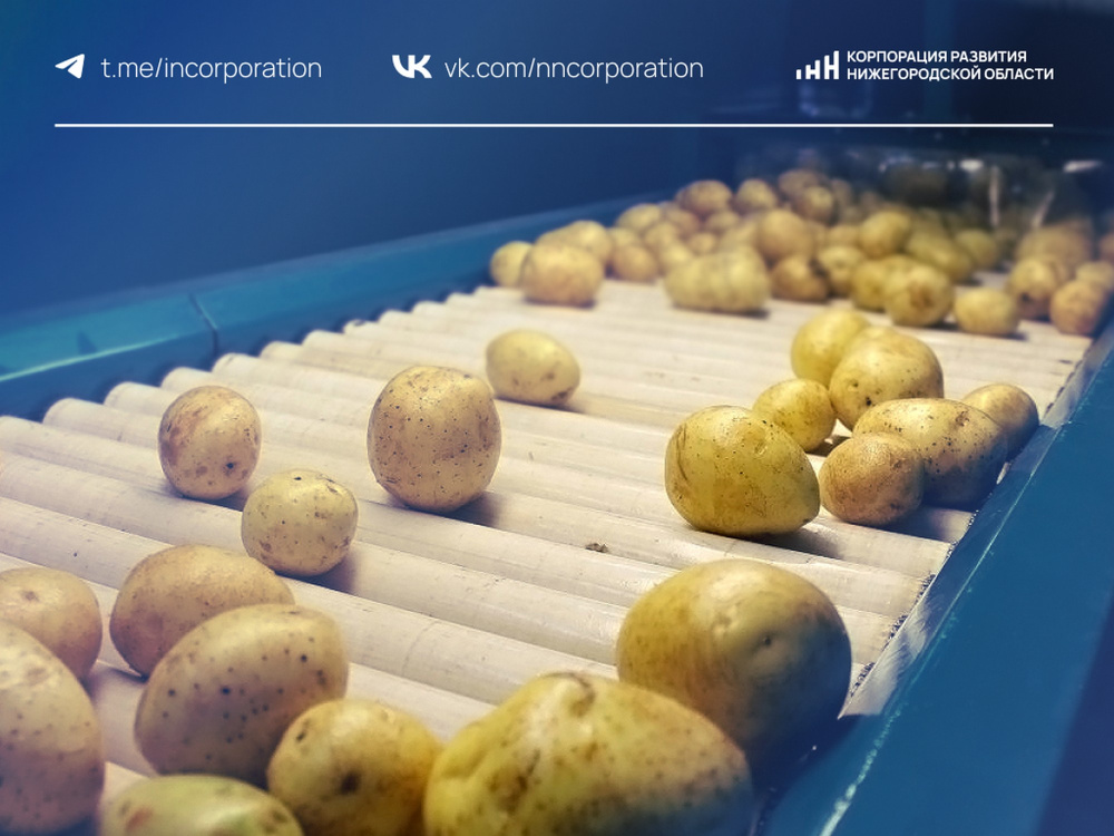 В Нижегородской области подготовили инвестпредложение по заводу картофельных хлопьев  
