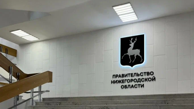 Правительство НО