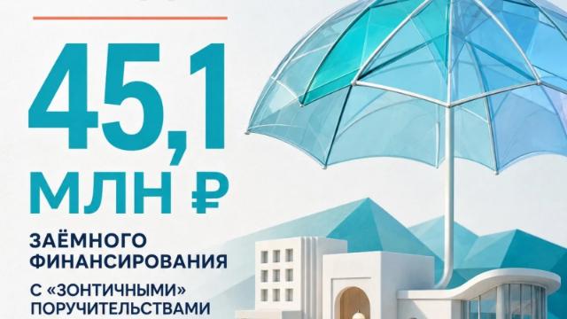«зонтичные» поручительства