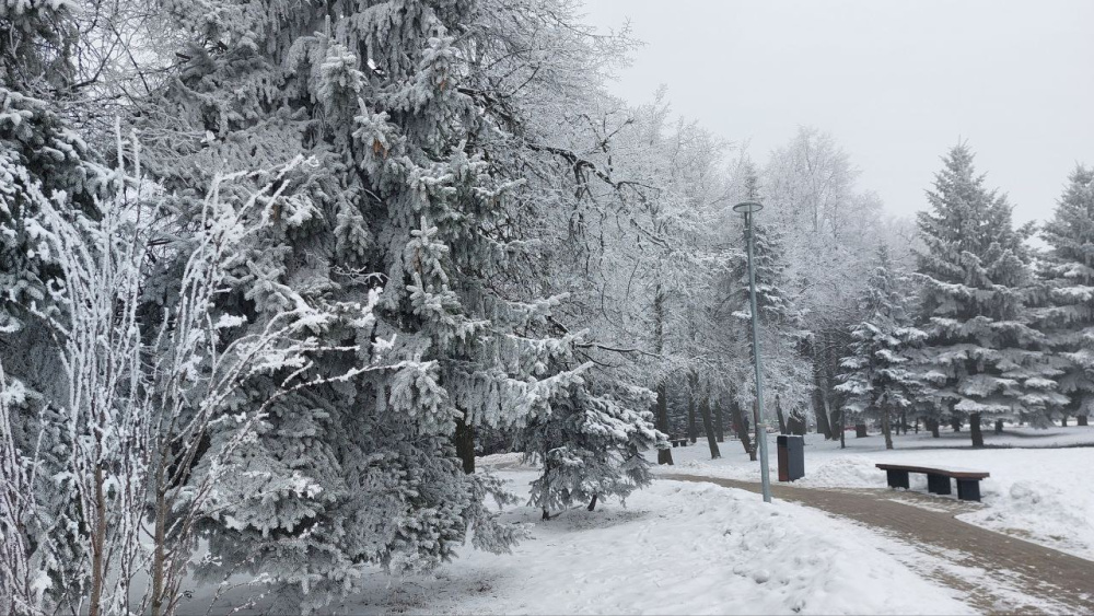 Правительство Нижегородской области приостановило реконструкцию спортбазы «Кузнечиха»