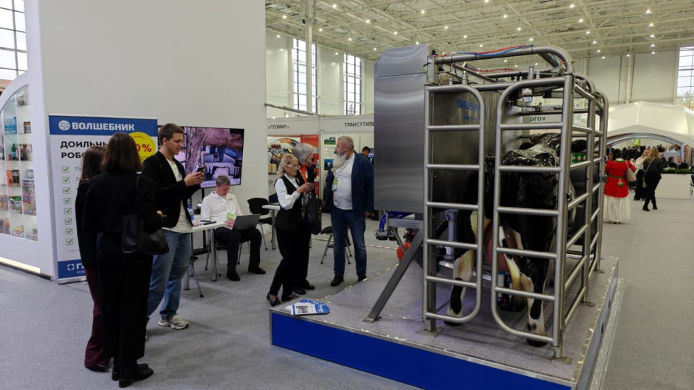 Доильный робот