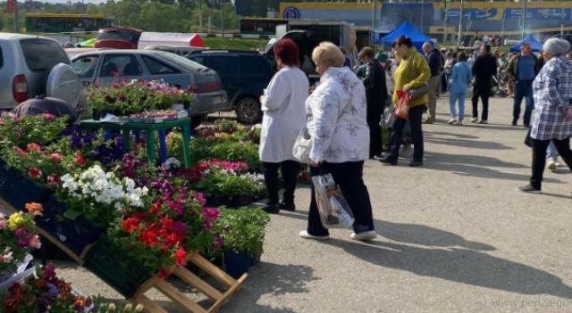 «Сезон уДачи»