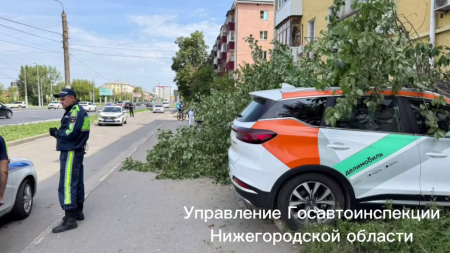 В Нижнем Новгороде водитель каршеринга сбил пешехода и врезался в дом на проспекте Ленина 