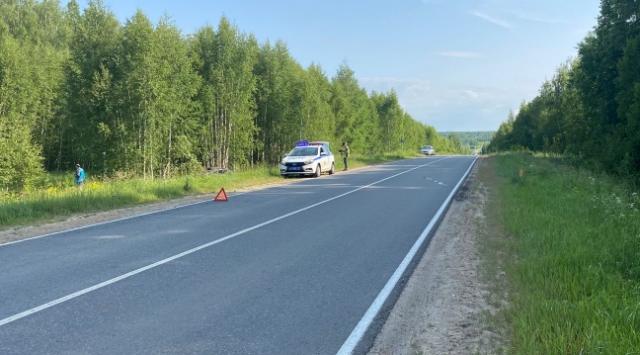 ДТП в Мордовии