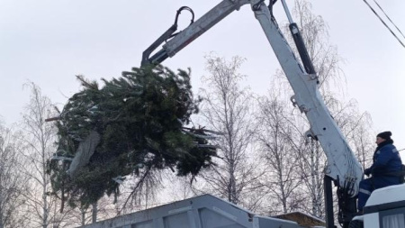 переработка елок