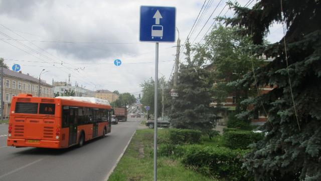 выделенная полоса