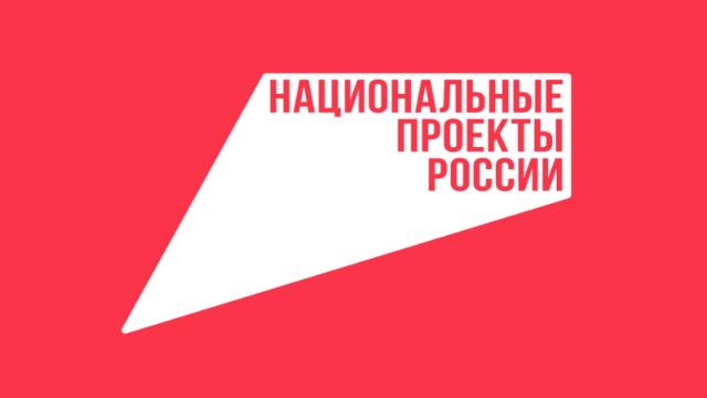 национальные проекты