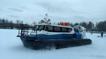 Спутник