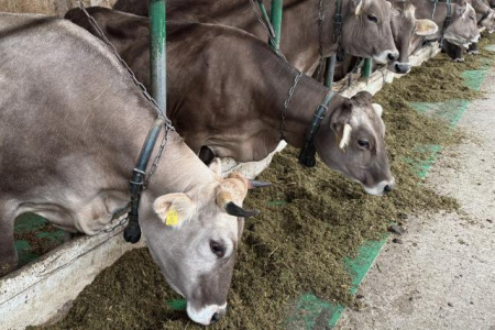 КРС