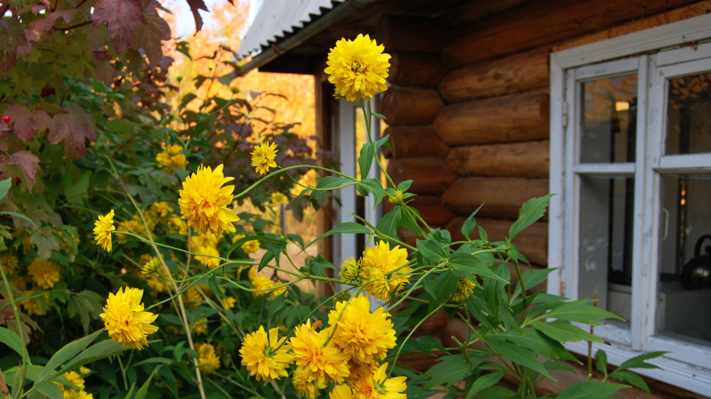 Деревенский дом