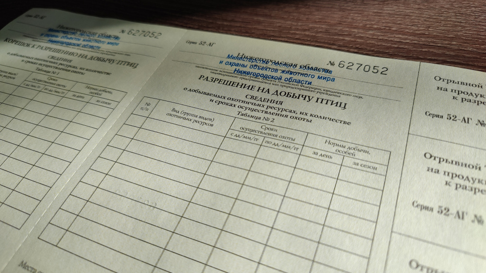 Разрешение