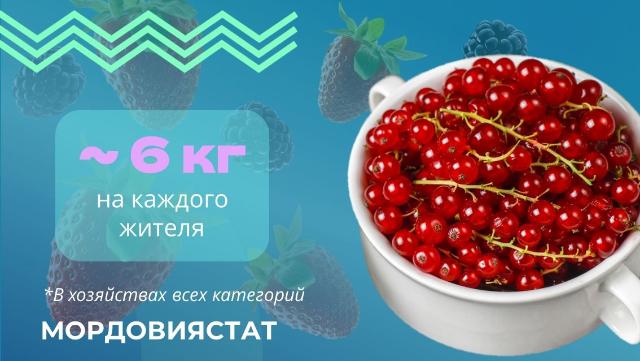 ягоды в Мордовии