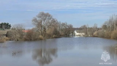 паводок в Мордовии