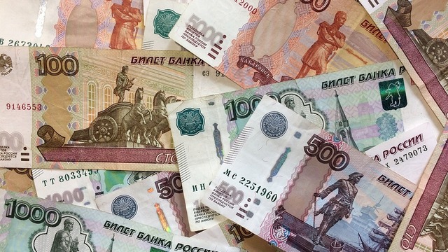 ЦИК раскрыл доходы кандидатов в Госдуму от Нижегородской области