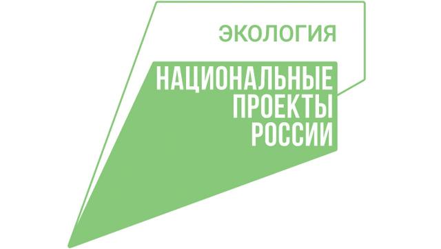 свалка в Иванове
