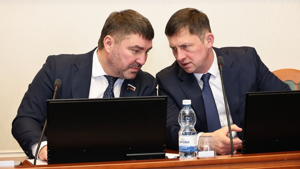 ЗС НО обратится к Мишустину по вопросам защиты Сарова от лесных пожаров