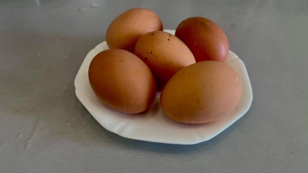 куриные яйца