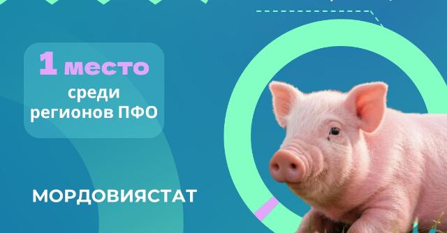 данные Мордовиястата