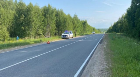 ДТП в Мордовии