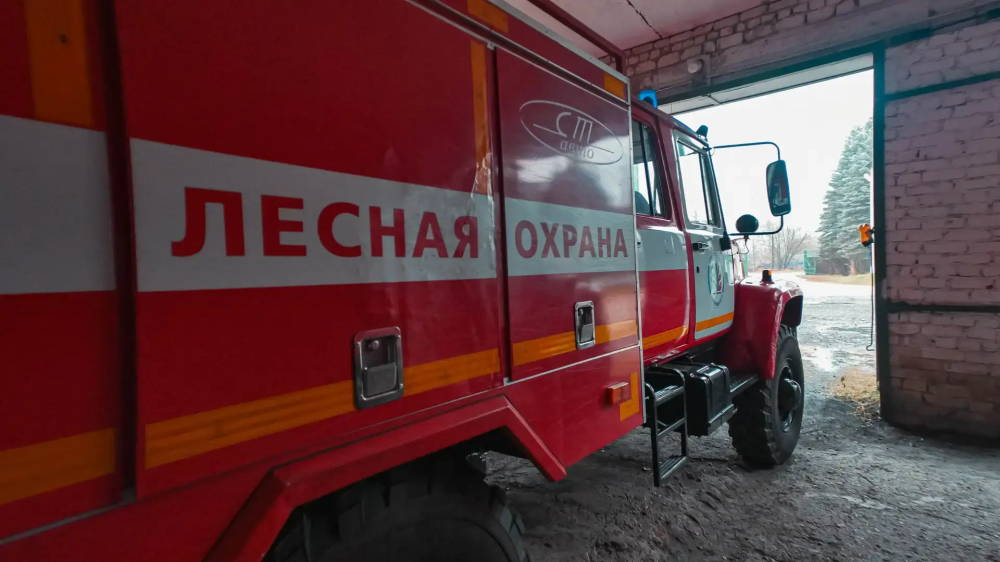Минлесхоз Нижегородской области