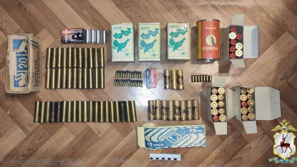 Полиция изъяла сотни ножей и боеприпасы у 67-летнего преподавателя вуза в Нижнем Новгороде