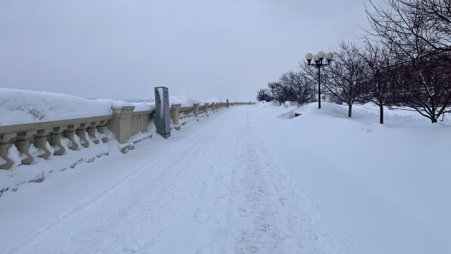 Снег