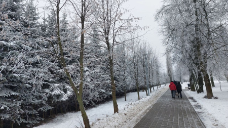 Первые заморозки в Нижегородской области ожидаются в конце сентября