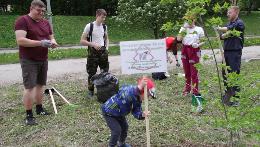 Молодые специалисты «Русполимета» высадили аллею в парке детской областной больницы