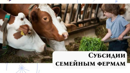 семейная ферма