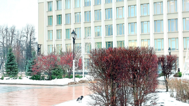 Правительство